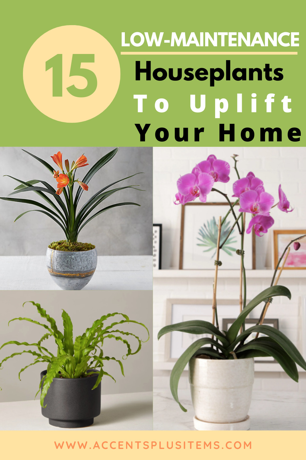 Bedroom Plants Low Light
 15 Low Maintenance Houseplants That Instantly Uplift Your