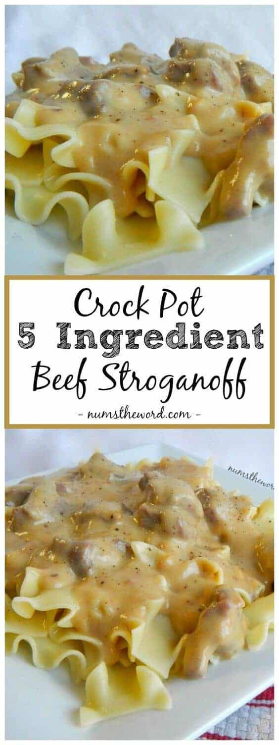 Beef Stroganoff Freezer Meal
 Freezer Meals to the Rescue Princess Pinky Girl