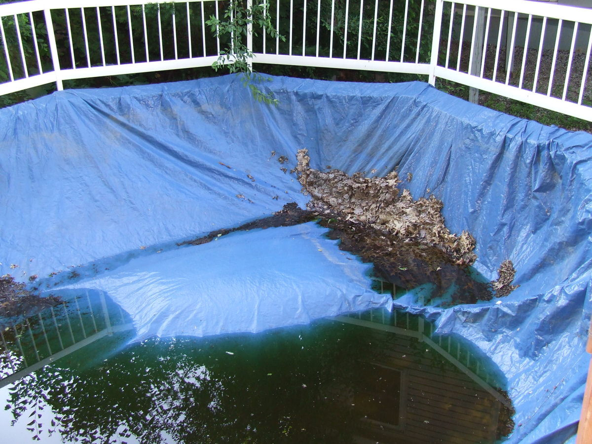 Best Above Ground Pool Cover
 Old school pool cover When you have this type of cover