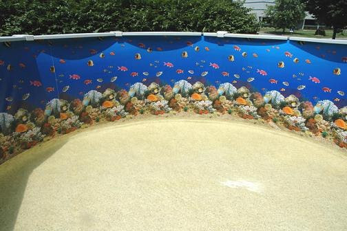 Best Above Ground Pool Liner
 Swimming Pools and More How to Clean Ground Pool