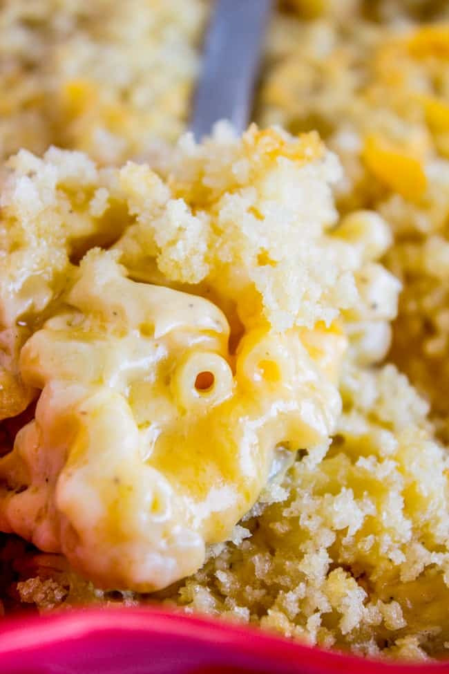 Best Baked Macaroni And Cheese Ever
 Literally the Best Mac and Cheese Ever The Food Charlatan