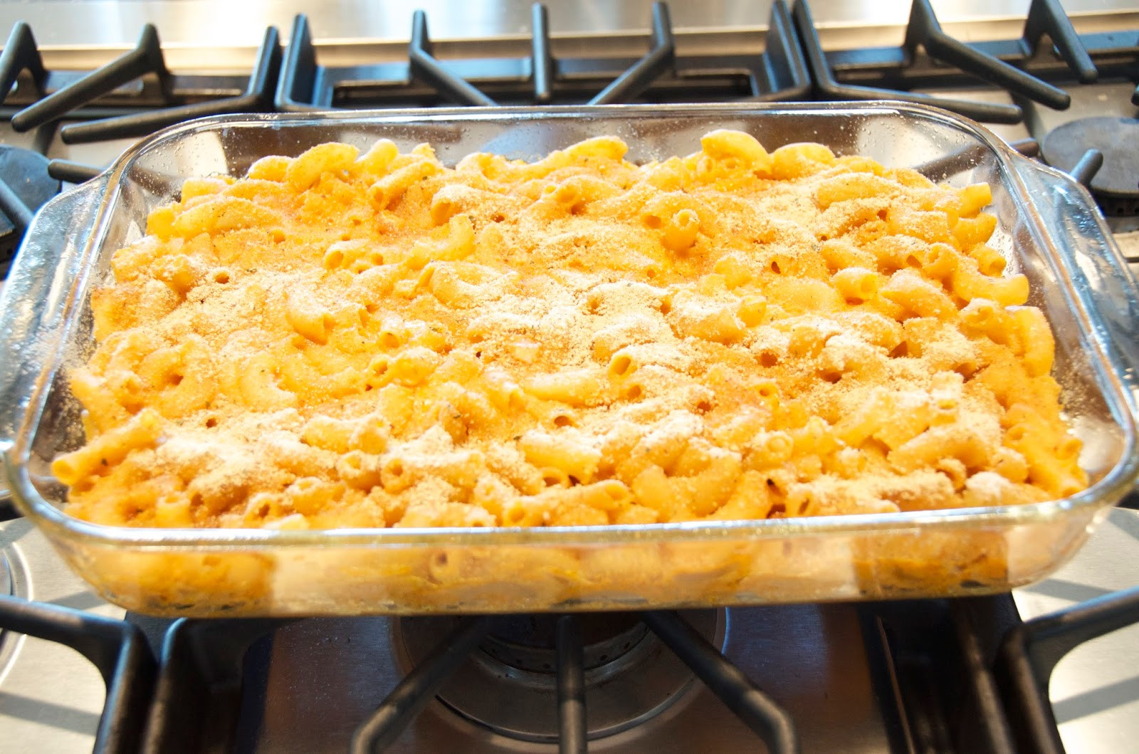 Best Baked Macaroni And Cheese Ever
 The Vegan Paige Chloe s "Best Ever Baked Macaroni