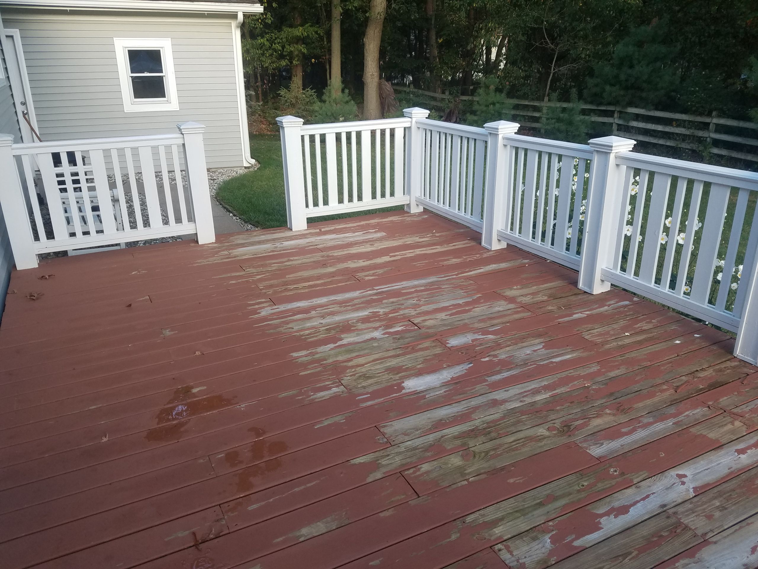 Best Deck Paint Consumer Reports
 Best Wood Deck Paint Consumer Reports • Decks Ideas