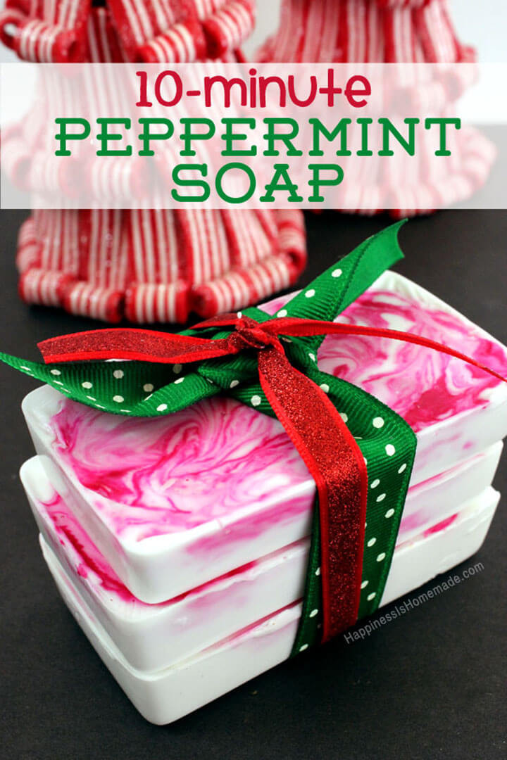 Best DIY Christmas Gifts
 10 Minute DIY Holiday Gift Idea Peppermint Soap