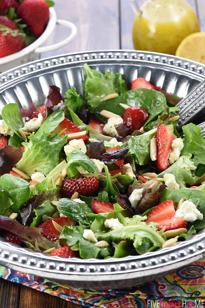 Best Easter Salads
 The BEST Easter Salad Spring Salad Perfection