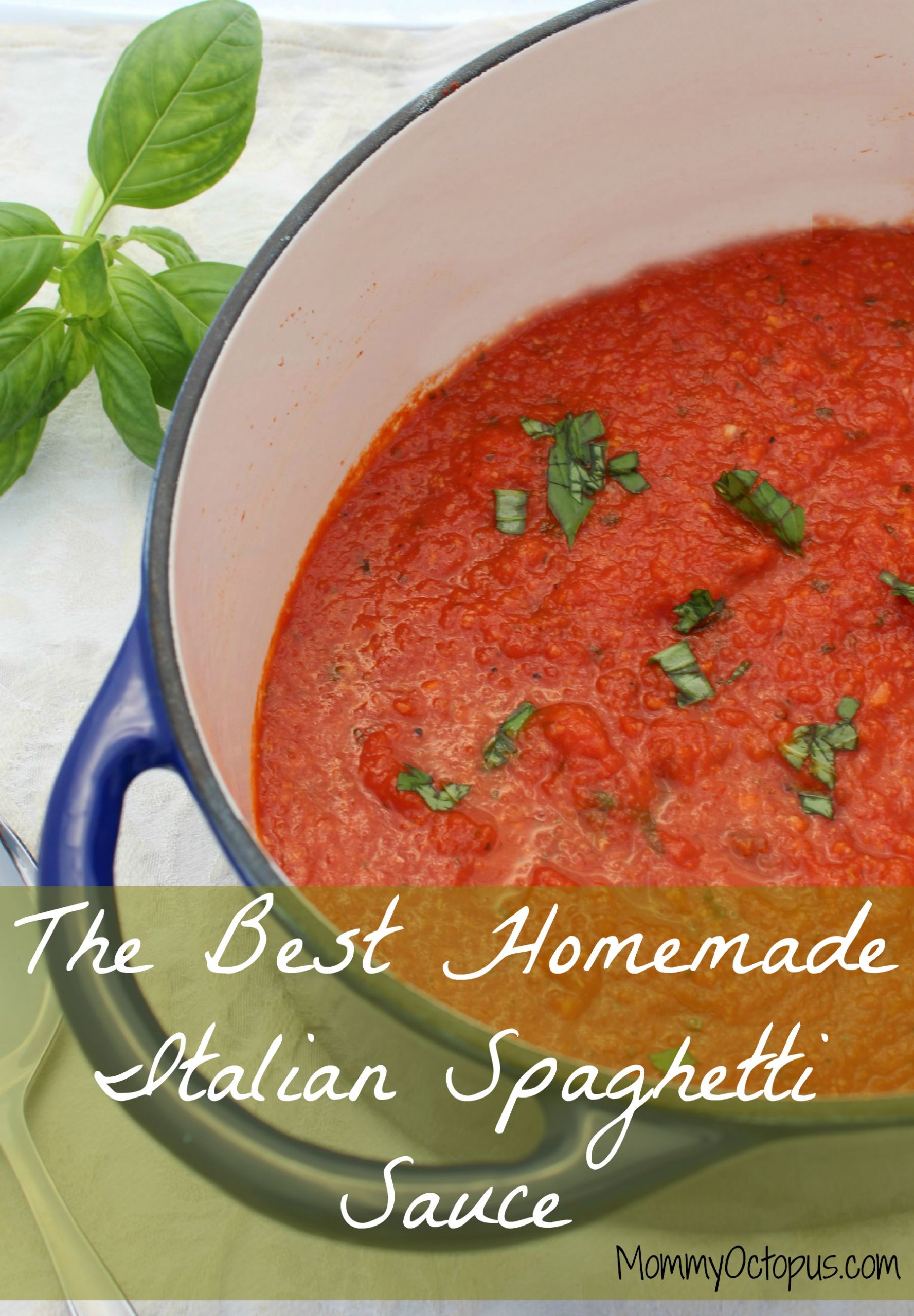 Best Italian Sauce Recipes
 The Best Homemade Italian Spaghetti Sauce Mommy Octopus