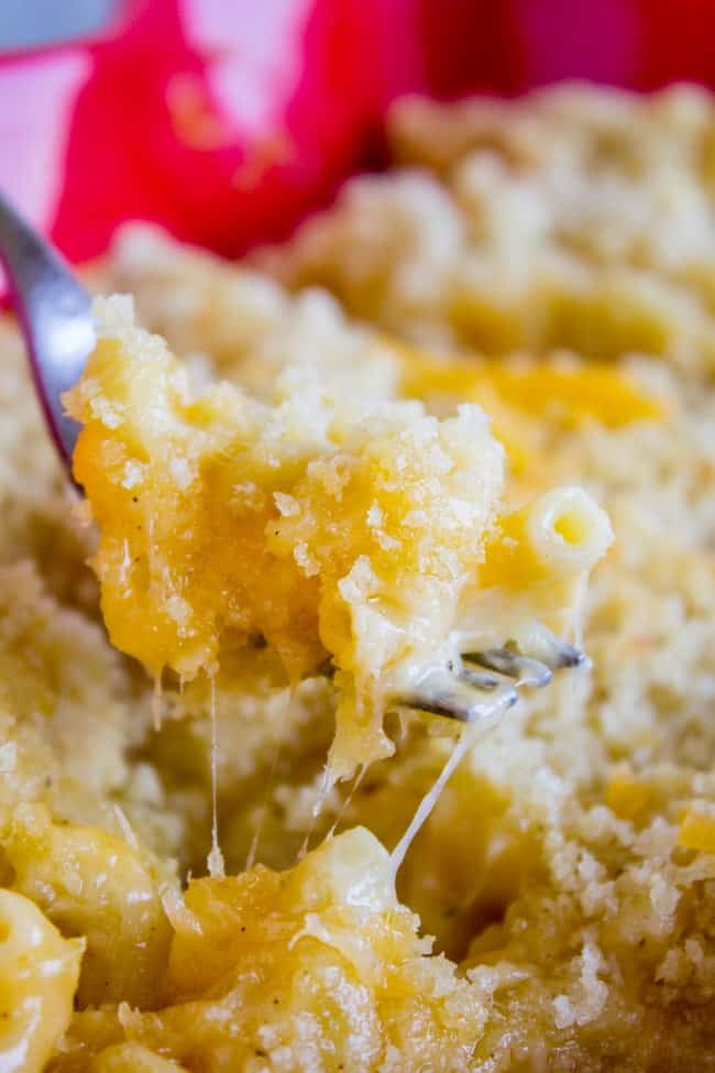 Best Macaroni And Cheese Recipe Baked
 Literally the Best Mac and Cheese Ever The Food Charlatan