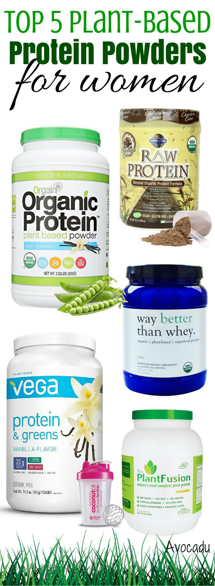 Best Organic Vegetarian Protein Powder
 Top 5 Plant Based Protein Powders for Women