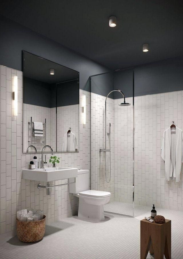 Best Paint For Bathroom Ceiling
 More click [ ] Best Paint For Bathroom Ceiling Mould