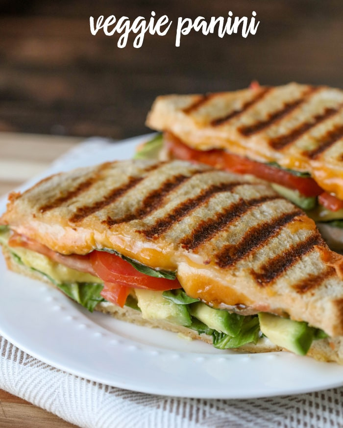 Best Panini Sandwich Recipes
 Veggie Panini