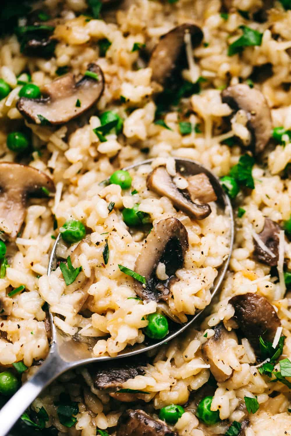 Best Rice For Risotto
 How to Make the BEST Mushroom Risotto