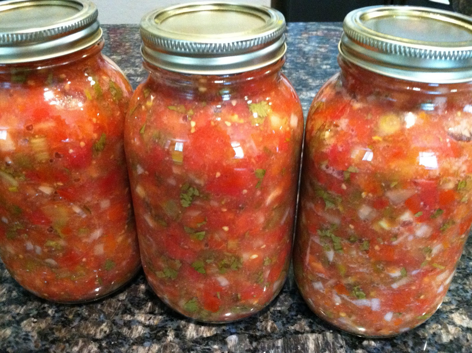 Best Salsa Recipe For Canning
 seeshellspace Homemade Salsa Canned