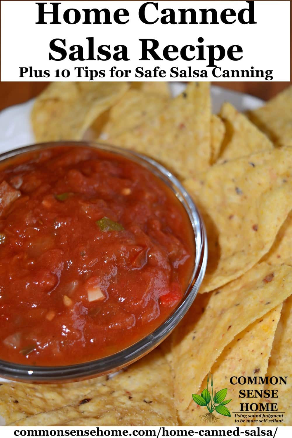 Best Salsa Recipe For Canning
 Home Canned Salsa Recipe Plus 10 Tips for Canning Salsa