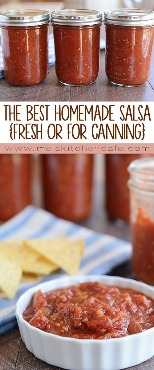 Best Salsa Recipe For Canning
 The Best Homemade Salsa Recipe