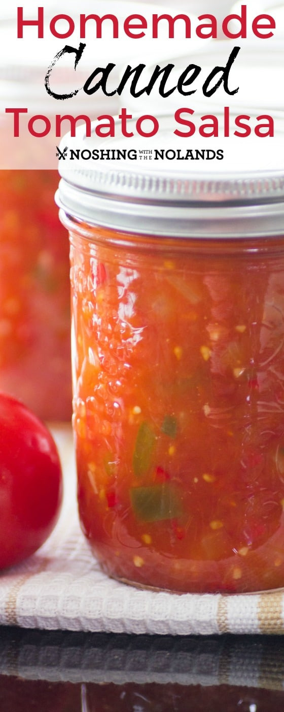Best Salsa Recipe For Canning
 Homemade Canned Tomato Salsa is the best with fresh summer