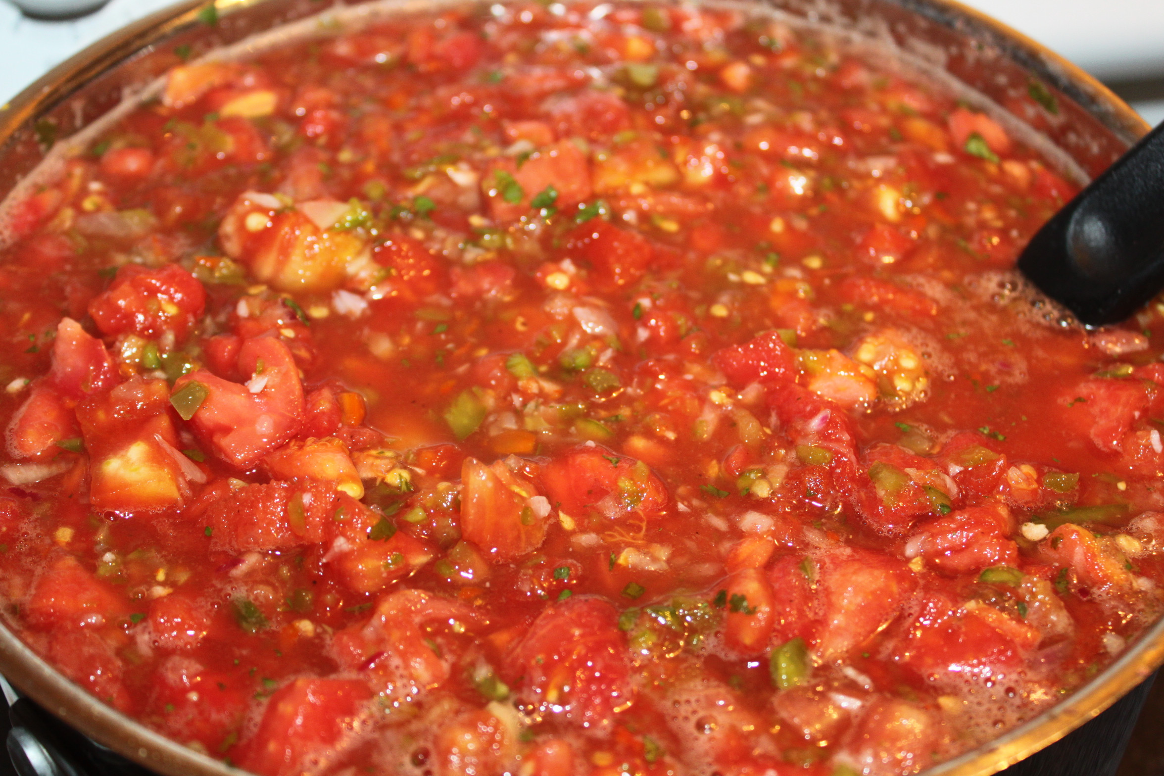 Best Salsa Recipe For Canning
 Summertime Salsa Recipe – Fresh Canned To Enjoy All