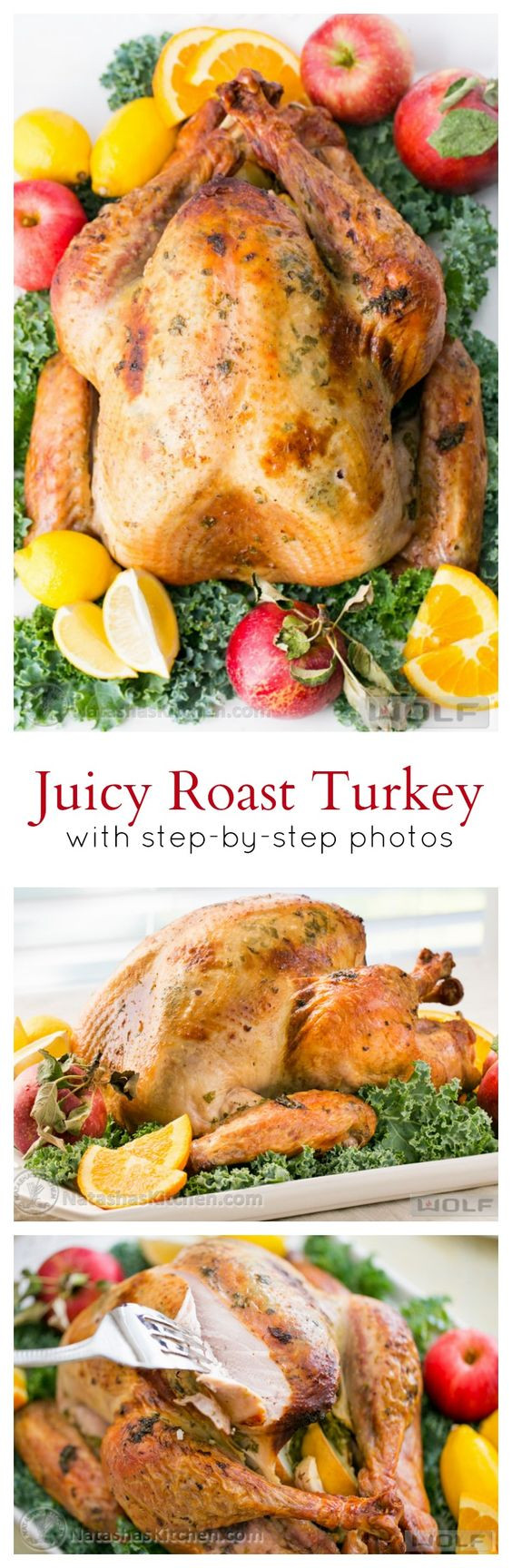 Best Thanksgiving Turkey Recipe
 The BEST Thanksgiving Dinner Holiday Favorite Menu Recipes