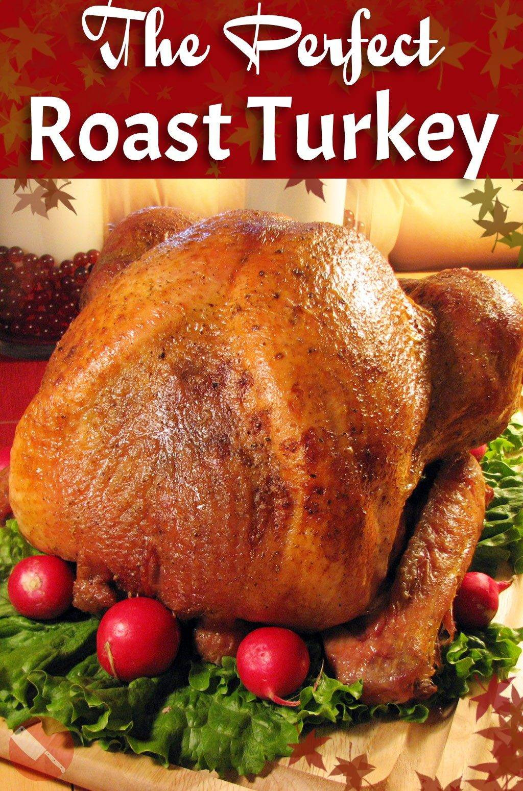 Best Thanksgiving Turkey Recipe
 The Ultimate Roast Turkey Recipe Perfect for your Holiday