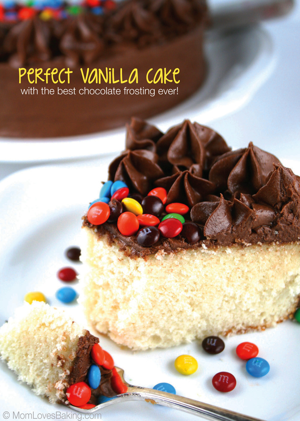 Best Vanilla Birthday Cake Recipe
 Perfect Vanilla Cake with The Best Chocolate Frosting Ever