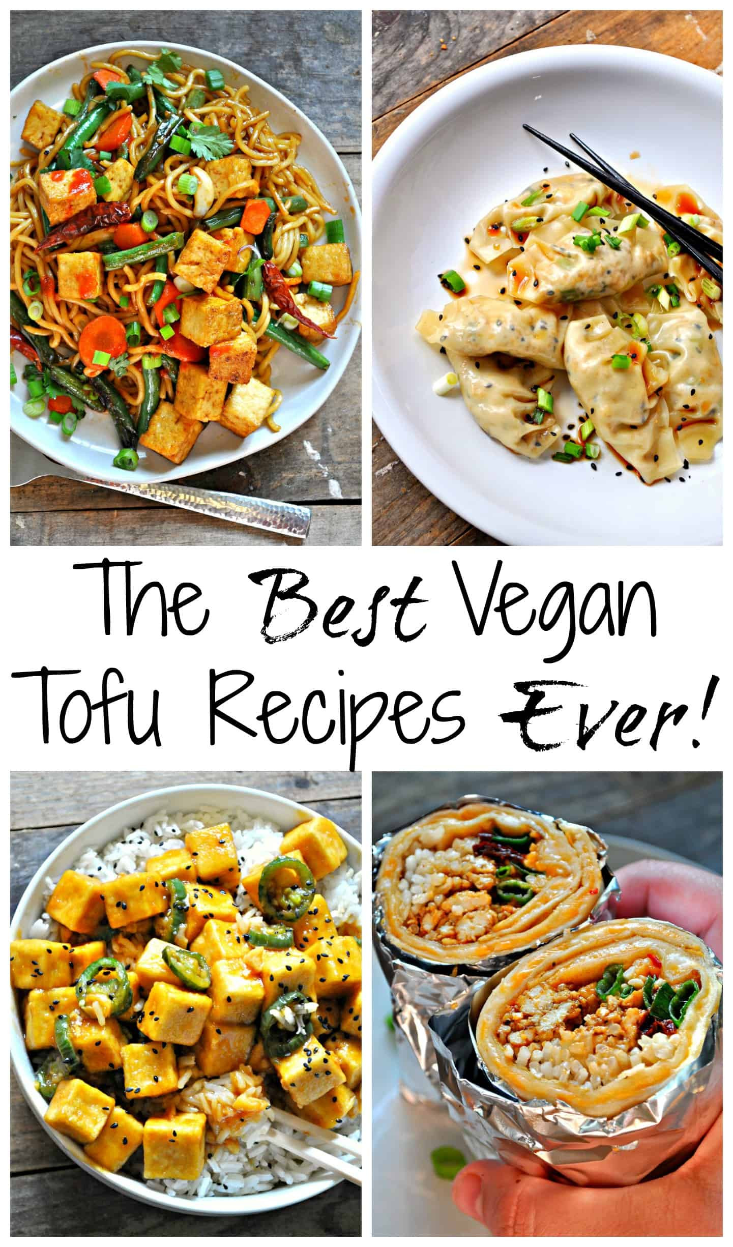 Best Vegan Tofu Recipes
 The Best Vegan Tofu Recipes Ever Rabbit and Wolves