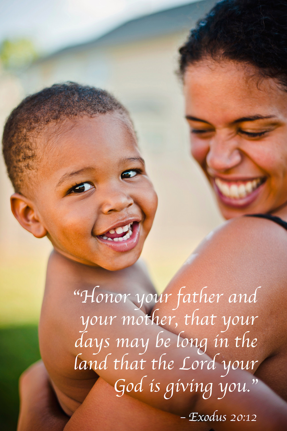 Biblical Quotes About Family
 The 33 Best Bible Verses About Family