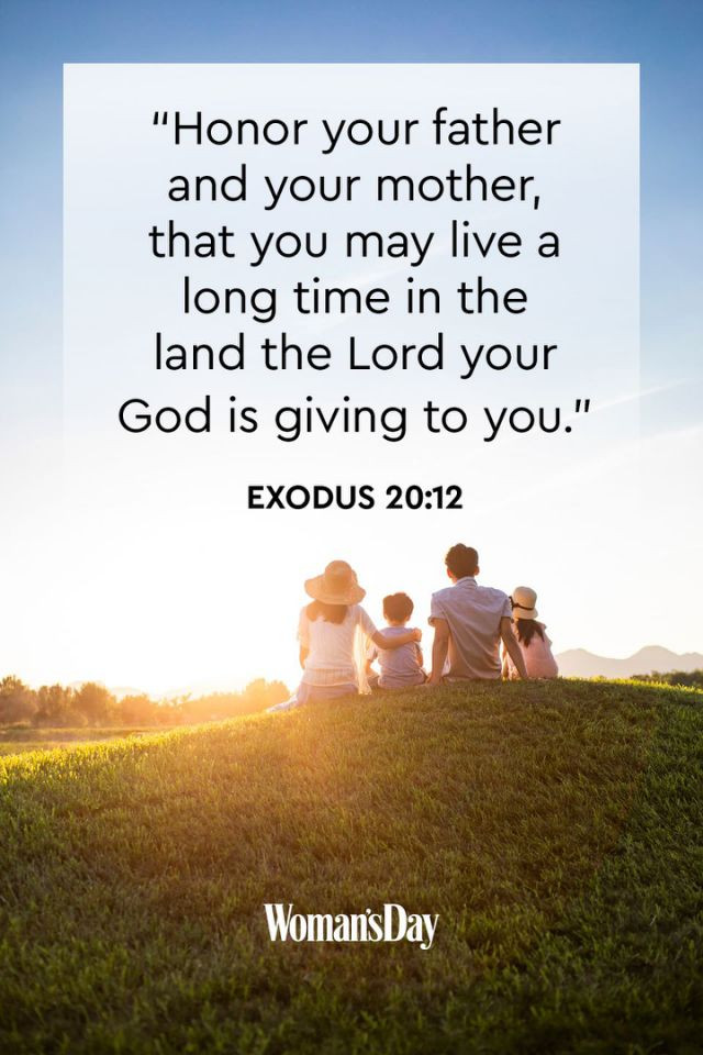 Biblical Quotes About Family
 Heartwarming Bible Verses About Family To Remind You of