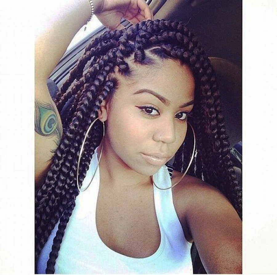 Big Braids Hairstyles Pictures
 27 Big Braids Hairstyles For Women
