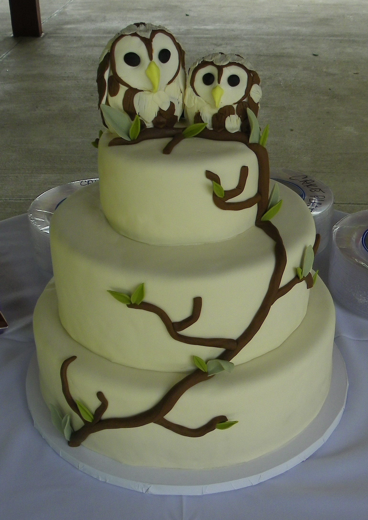 Birthday Cakes Designs
 Owl Cakes – Decoration Ideas