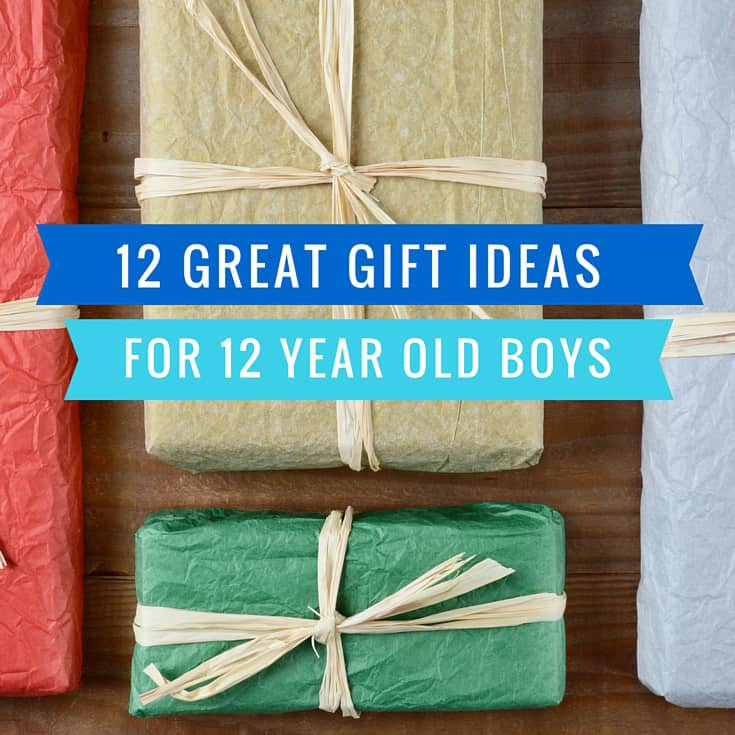 Birthday Gift For 12 Year Old Boy
 12 Great Gift Ideas for a 12 Year Old Boy Mom in the City