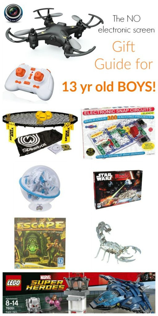 Birthday Gift Ideas 13 Year Old Boy
 Gift Guide for 13 Year Old Boys