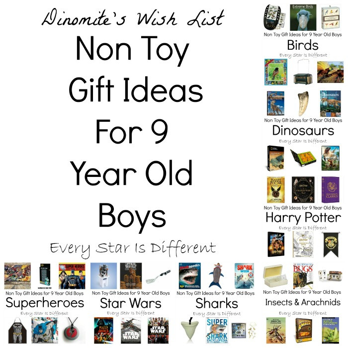 Birthday Gift Ideas For 9 Year Old Boy
 Non Toy Gift Ideas for 9 Year Old Boys Every Star Is