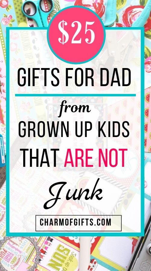 Birthday Gift Ideas For Father In Law
 Affordable Gifts For Father That Are Not Junk Under$25
