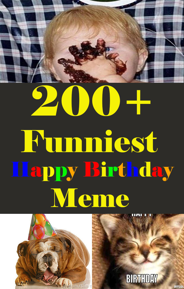 Birthday Memes Funny
 200 Funniest Birthday Memes for you Top Collections