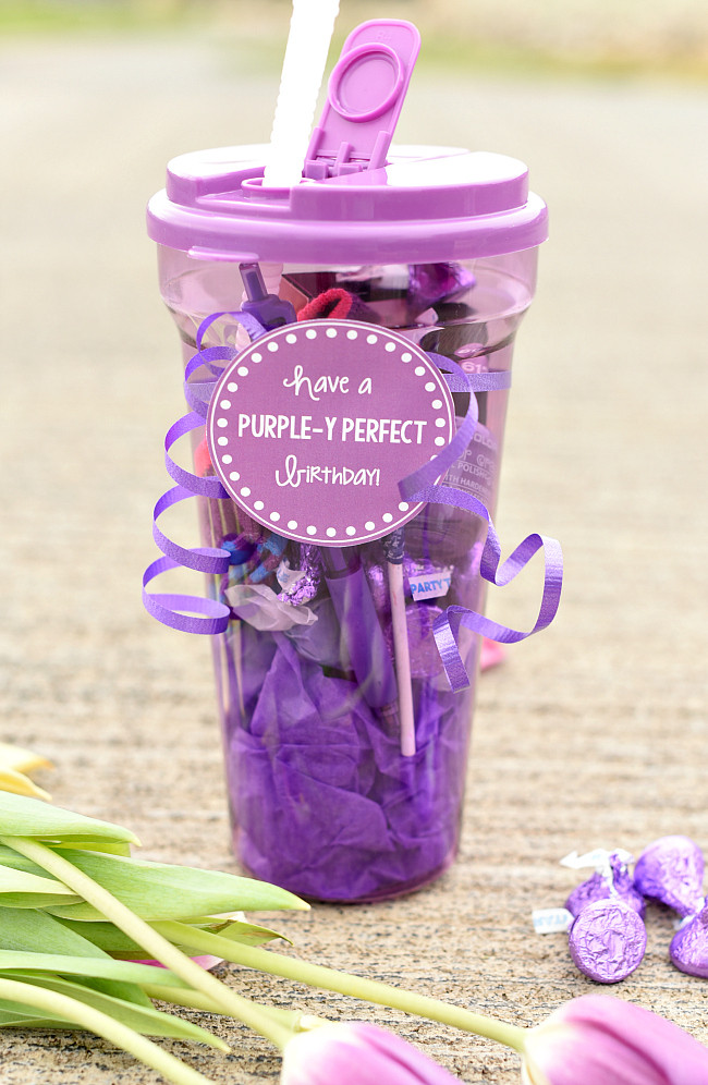 Birthday Party Gift Ideas
 Purple Themed Birthday Gift for Friends – Fun Squared