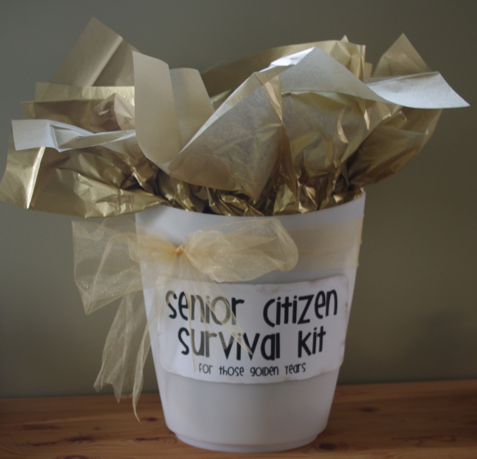Birthday Party Ideas For Senior Citizens
 Creative "Try"als Senior Citizen Survival Kit