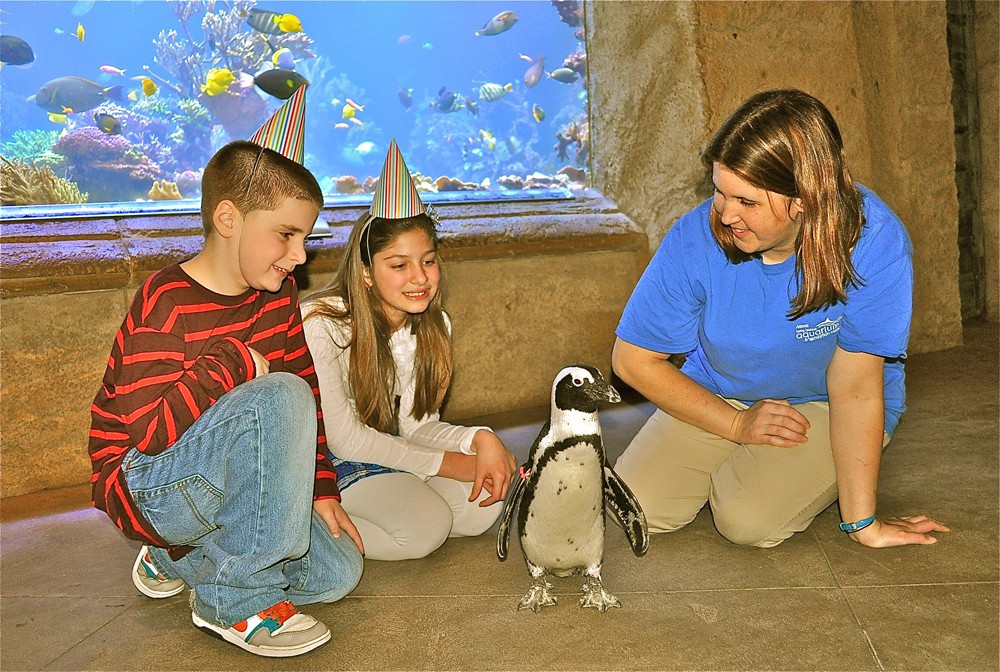 Birthday Party Places Long Island
 Aqautic Birthday Parties at The Long Island AquariumLong
