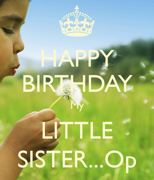 Birthday Quotes For Little Sister
 Happy Birthday Little Sister Quotes QuotesGram