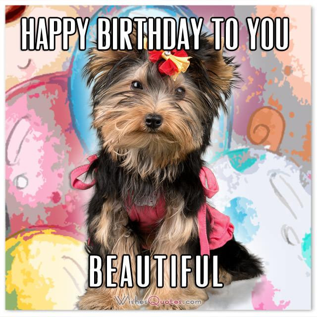Birthday Quotes With Images
 The Funniest and most Hilarious Birthday Messages and Cards