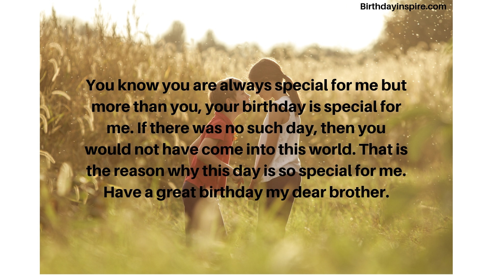 Birthday Wishes For A Brother
 43 Birthday Wishes for Brother Best Messages and Quotes