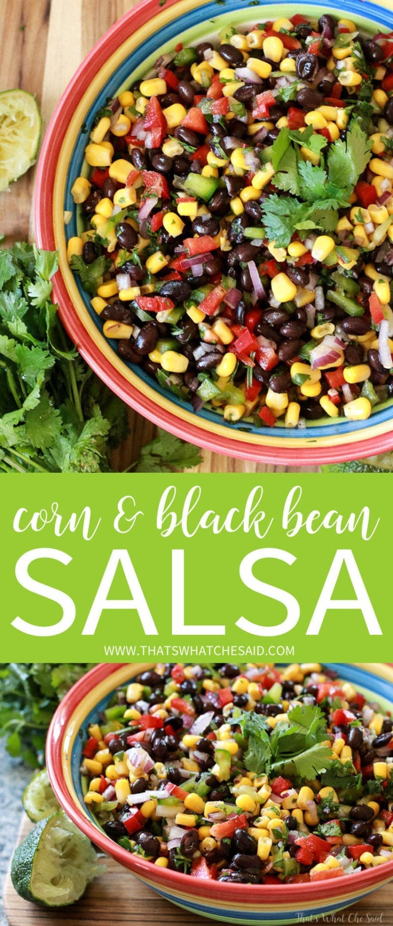 Black Bean Salsa Recipes
 Corn & Black Bean Salsa – That s What Che Said