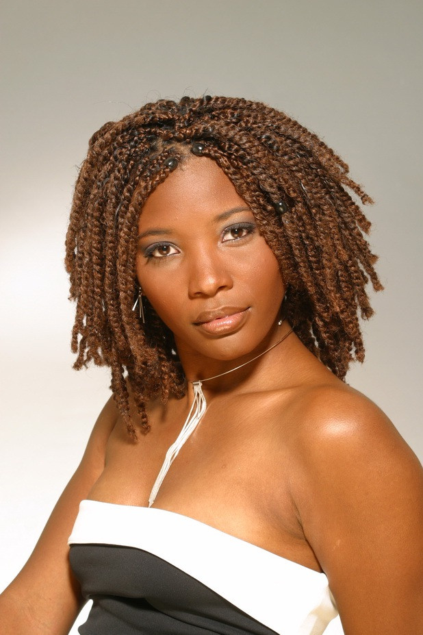 Black Braid Hairstyles Pictures
 Braid Hairstyles for Black Women