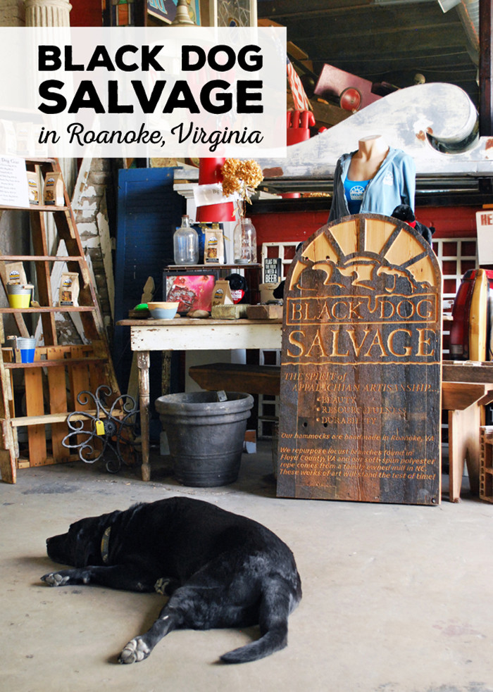 Black Dog Salvage DIY
 Black Dog Salvage Home of the Salvage Dawgs