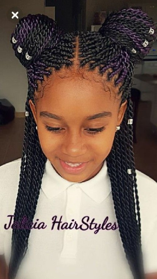 Black Lil Girl Hairstyles
 Little Black girls’ 40 Braided Hairstyles