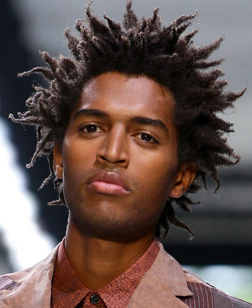 Black Male Afro Hairstyles
 shreedasdiary Ideal Hairstyles for Black Men 2013