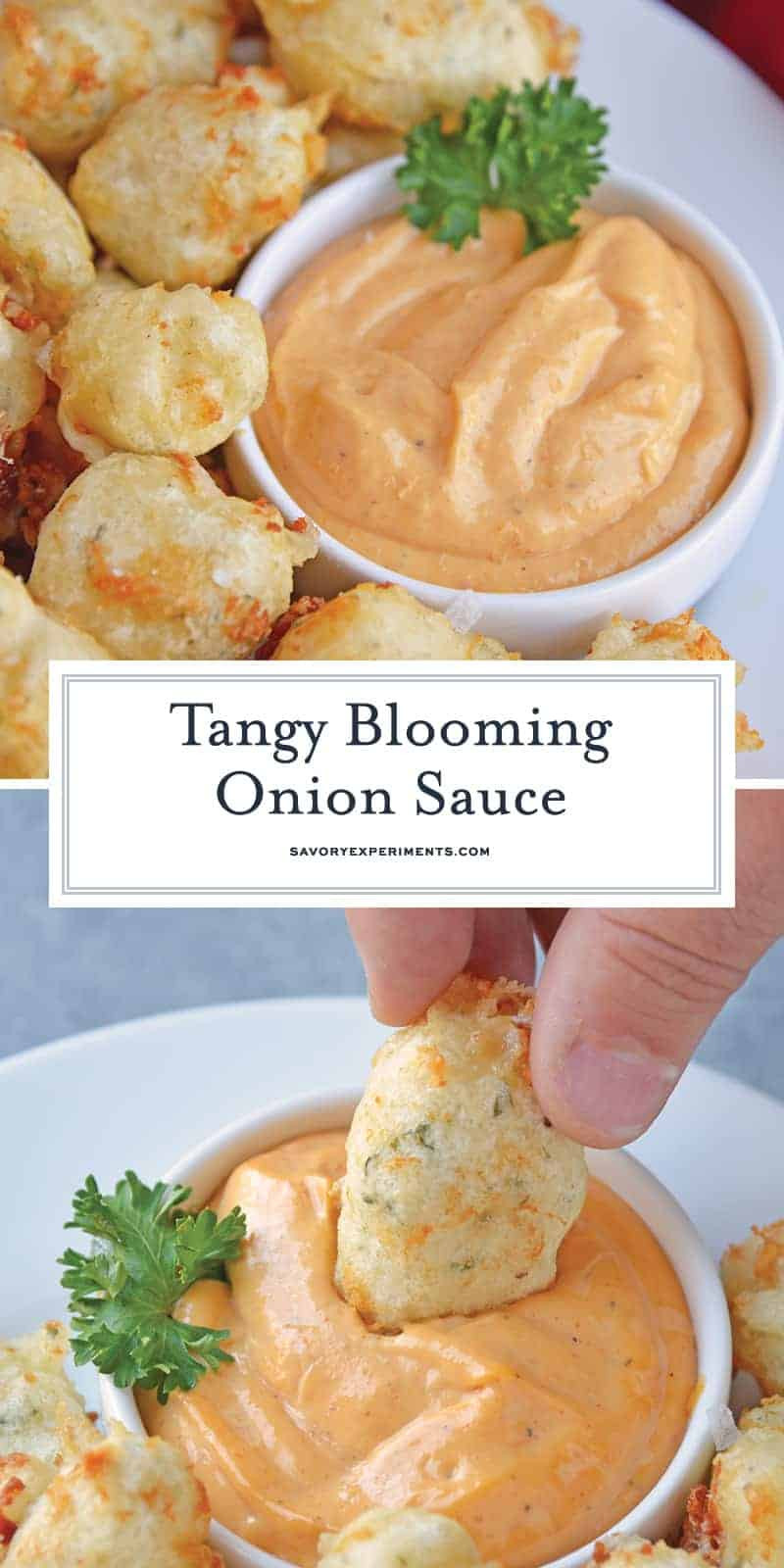 Bloomin Onion Sauce Recipe
 Outback Bloomin ion Sauce