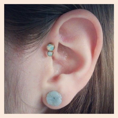 Body Jewelry Ears
 Todays ears anatometal opals ite