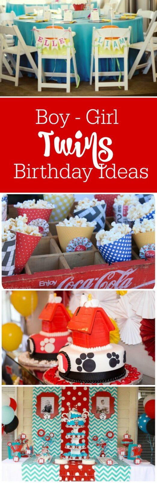 Boy Birthday Party Themes
 Birthday Party Ideas for Boy Girl Twins