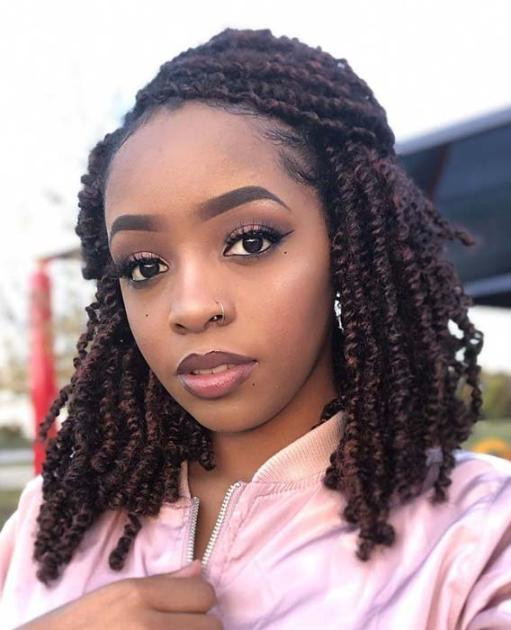 Braided And Twisted Hairstyles
 25 Cutest Kinky Twist Braids You Need to Try