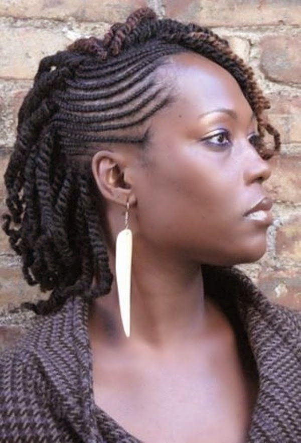 Braided Hairstyles Pictures
 Latest Hairstyles 2014