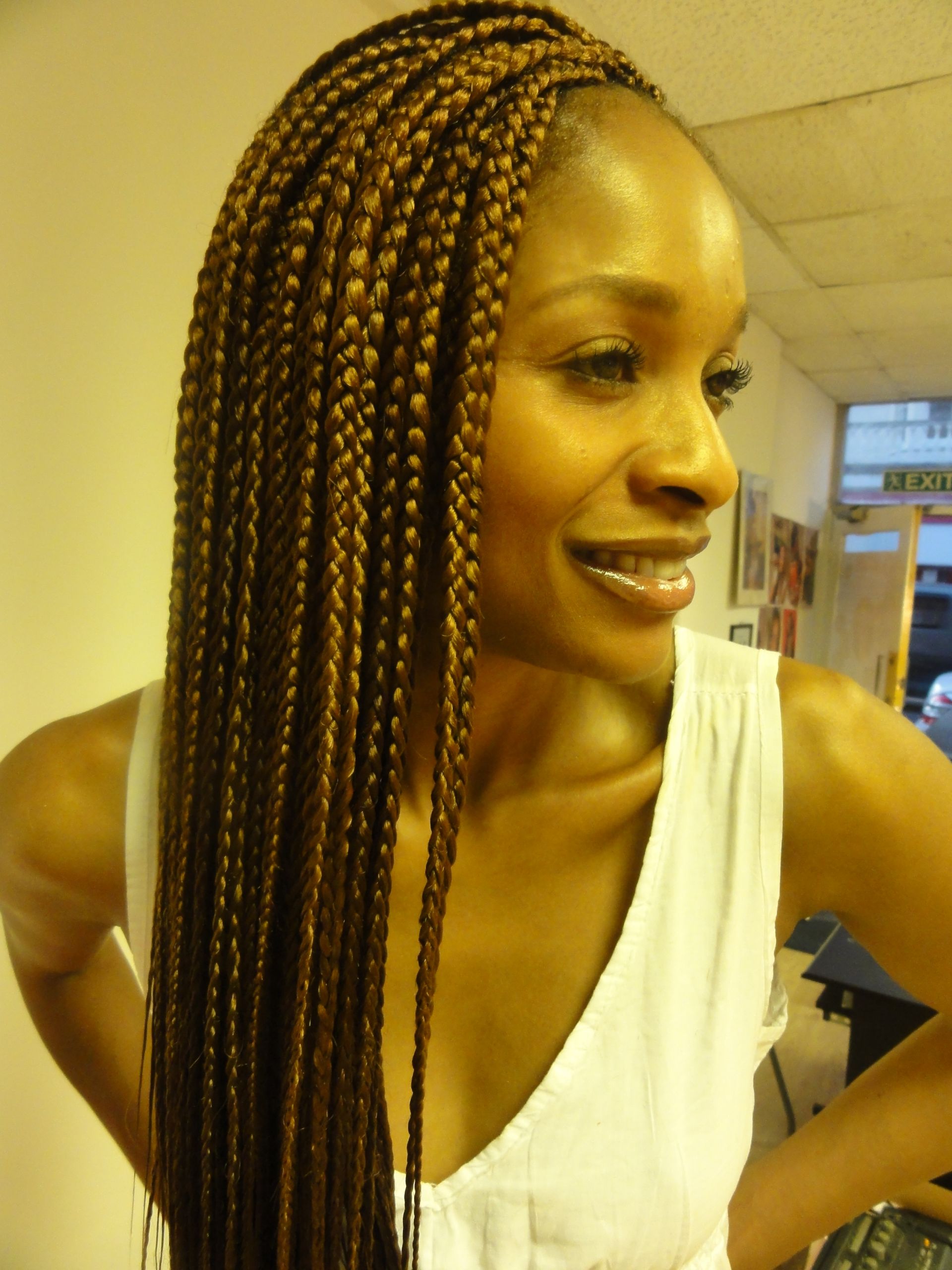 Braided Hairstyles Pictures
 Individual Braids Hairstyles For Black Women